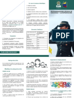 Plegable A Candidatos DIPRO PDF