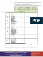 Formato Inducción y Re Inducción SST