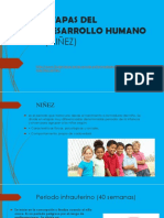 Etapas Del Desarrollo Humano