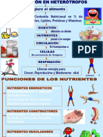 anexo1-NUTRICION - SISTEMAS