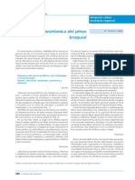 PLEXO BRAQUIAL PDF.pdf