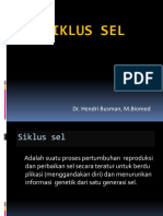 Siklus Sel