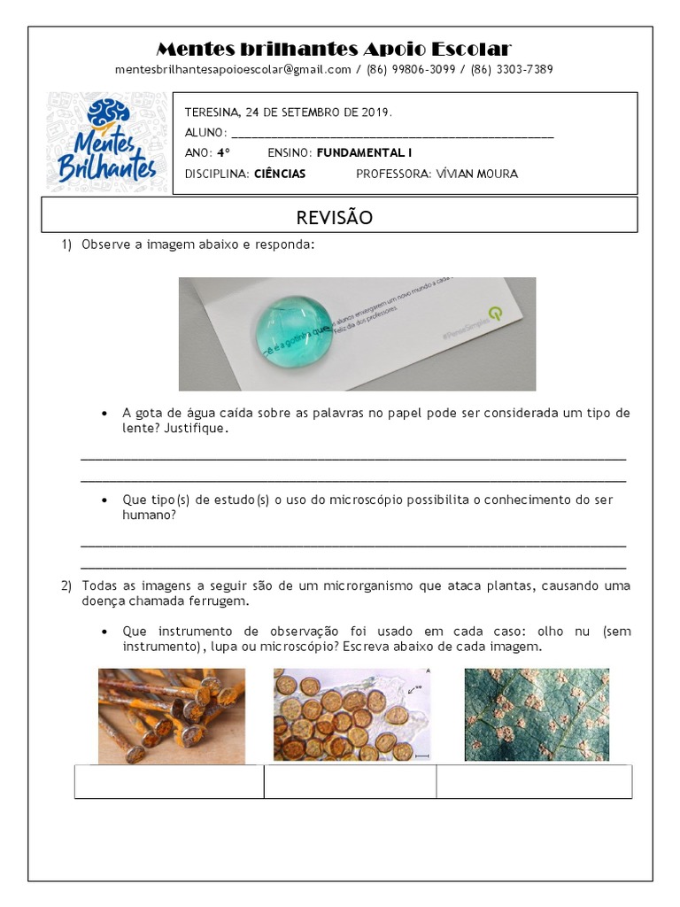 Ciências 4º ano fungos, protozoários, vírus Fungo