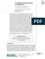 Of Brachypodium Distachyon: Agrobacterium-Mediated Transformation