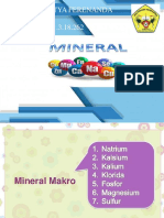 Iinsintya Kimiapangan Mineral