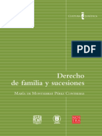 Derecho de Familia y Sucesiones PDF