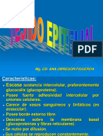 Características del epitelio y sus funciones