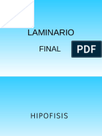 Laminario Morfo III Final