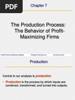 07-The Production Process:The Behavior of Profit - Maximizing Firms