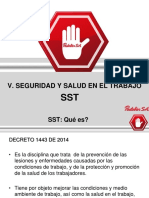 Induccion Capitulo v - Sst (1)