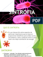 SINTROFIA