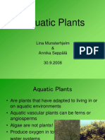 Aquatic Plants