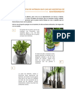 Plantas para Interiores