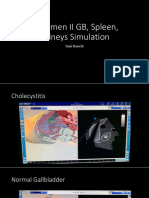 GB Spleen Kidneys Simulation
