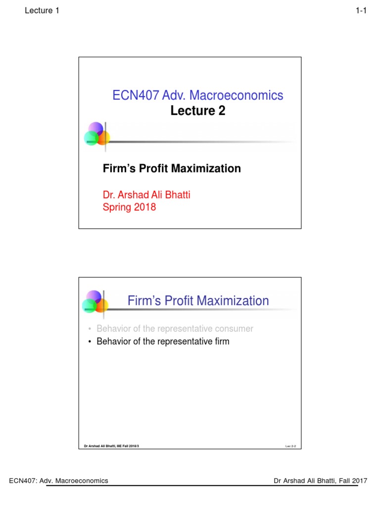 Profit Maximization in Macroeconomics | PDF | Production Function ...