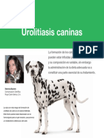 AV_43_Urolitiasis_caninas.pdf