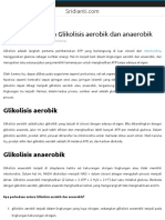 Perbedaan Antara Glikolisis Aerobik Dan Anaerobik - Biologi PDF