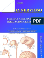 7.4 Sistema Ventricular y Vascular - 2