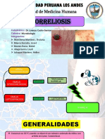 Borreliaaa