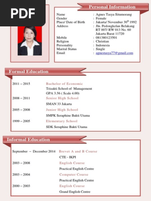 CV.pdf
