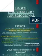 Bases Del Ejercicio Jurisdiccional Completo