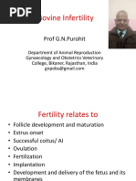 Lecture 7 Bovine Infertility