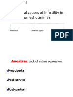 Lecture 8 Anestrus in Domestic Animals