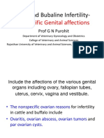 Lecture 11 Bovine and Bubaline Infertility-Non-specific Genital Affections