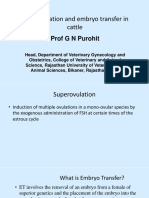 Superovulation and Embryo Transfer in Cattle: Prof G N Purohit