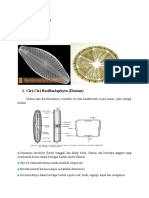 Tugas Alga Bacillariophyta (Diatom) .