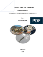 BUDIDAYA LOBSTER AIR LAUT (Misbah) PDF