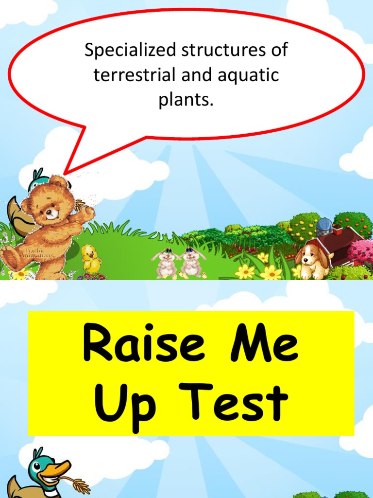 12Specialized Structures of Terrestrial and Aquatic Plants Lilium Leaf