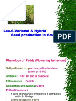 Lec.6.Varietal & Hybrid Seed Production in Rice