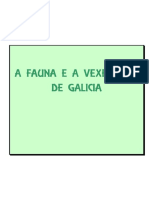 Fauna e Vexetación de Galicia_árbores