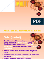 4.17 anatomi rongga mulut.ppt