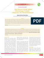 07_221CPD-Infeksi Saluran Kemih akibat Pemasangan Kateter-Diagnosis dan Penatalaksanaan.pdf