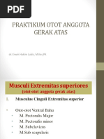 (Sesi 1) Praktikum Musculi Ekstremitates Superiores