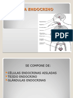 SISTEMA ENDÓCRINO Corregido