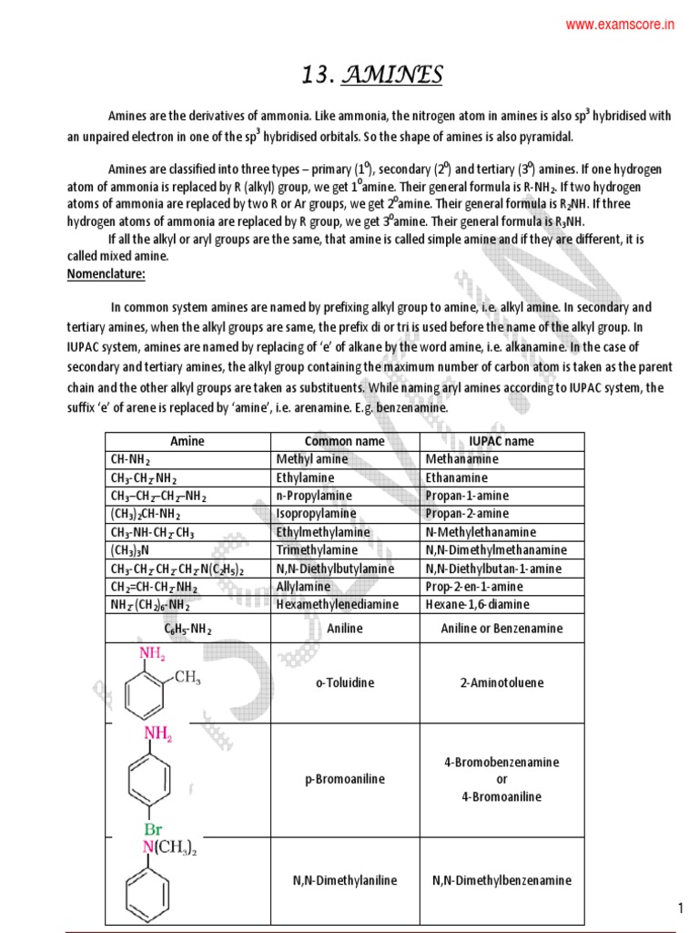Amines | PDF | Amine | Atoms