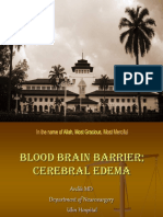 Blood Brain Barrier