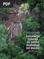 Relatorio Violencia Contra Os Povos Indigenas Brasil 2018