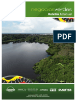 Boletin Negocios Verdes Junio CORPOAMAZONIA