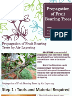 Propagation of Fruit Bearing Trees: Prepared By: Rizza M. de Mesa Teacher I