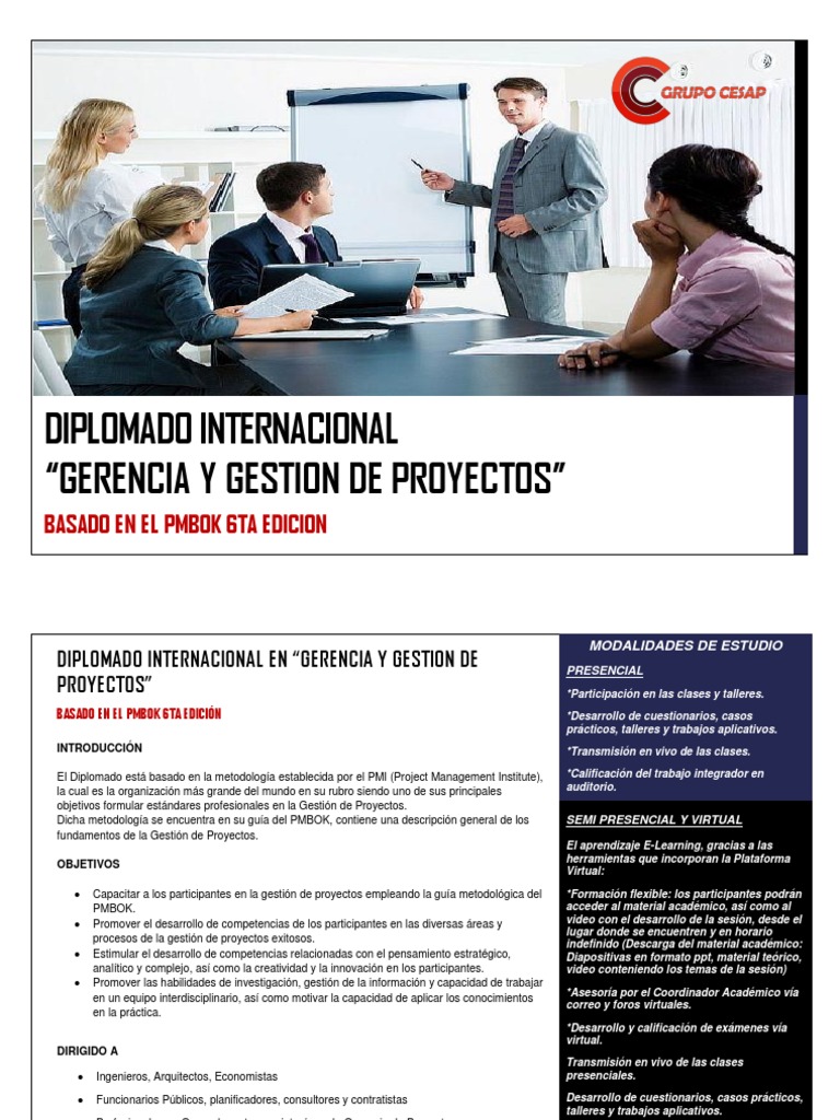 Diplomado en Gerencia de Proyectos PMBOK | PDF | Profesional en el ...