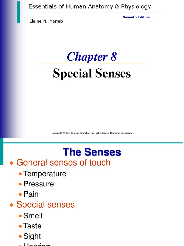 Chapter 8 Special Senses PDF Ear Taste