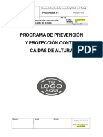 PRG SST 015 Programa Ppcca