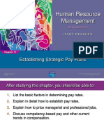 Human Resource Management: Establishing Strategic Pay Plans