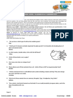 Primary School Level Paper Answer Key