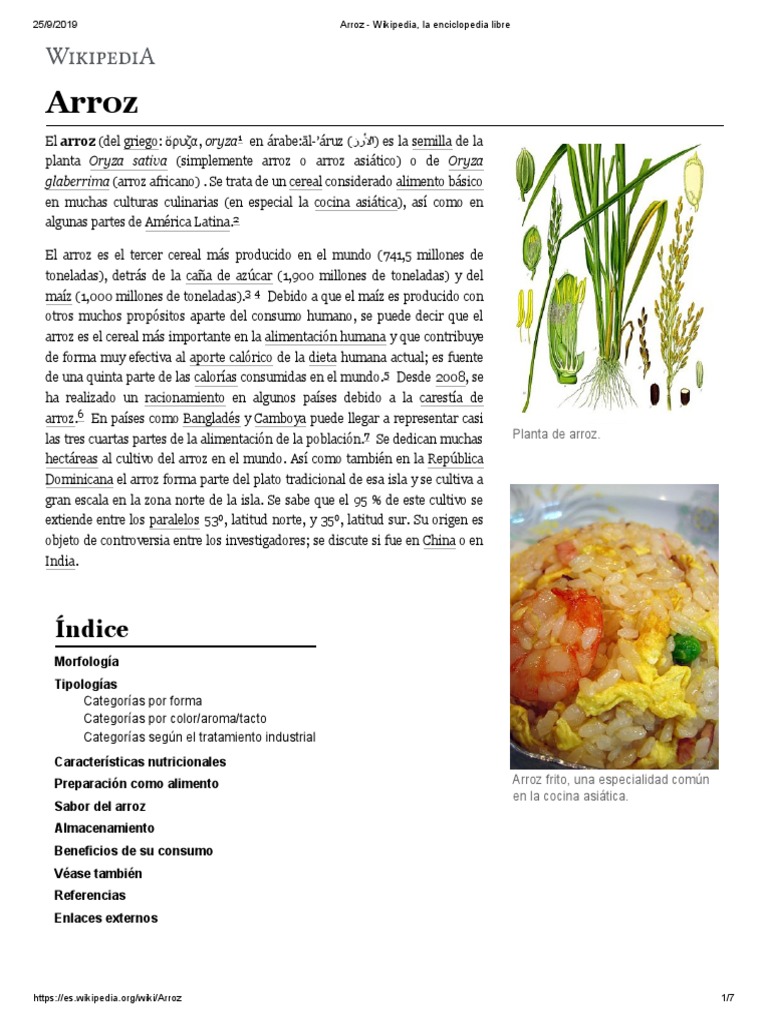 Arroz - Wikipedia, La Enciclopedia Libre | PDF | Arroz | Alimentos basicos