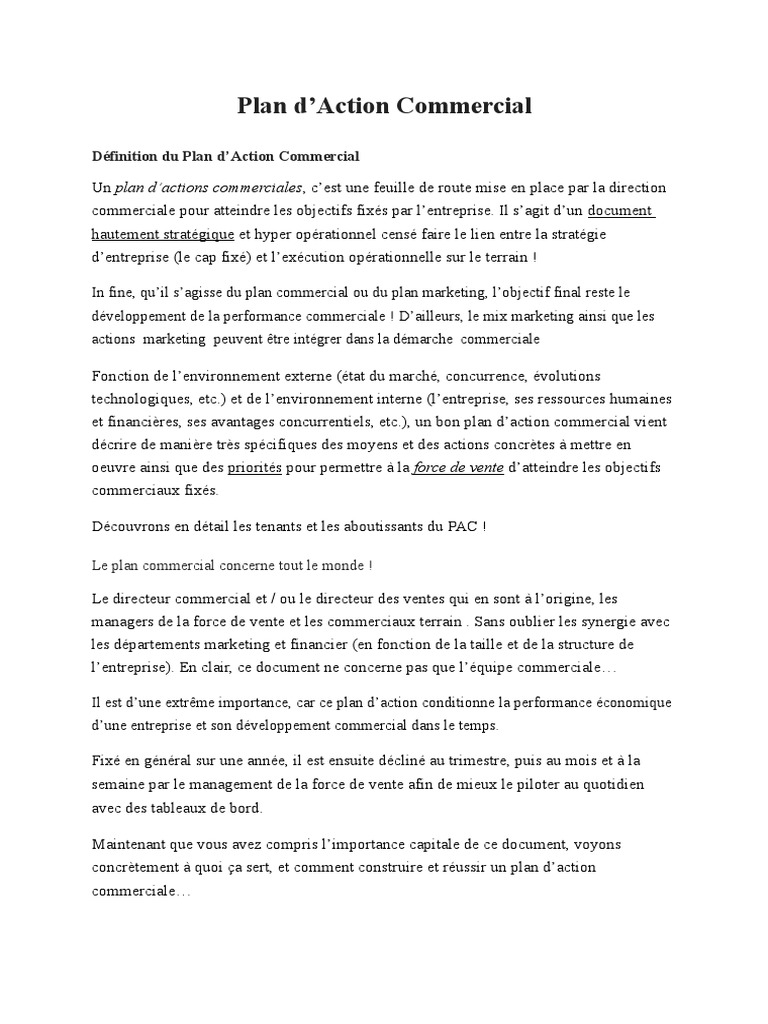 Élaborer un Plan d'Action Commercial | PDF | Sodles | Commercialisation